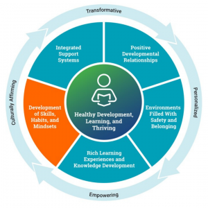 Development of Skills, Habits, and Mindsets